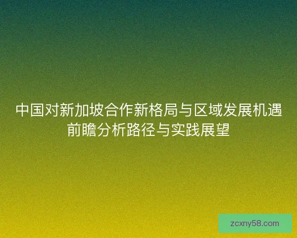 中国对新加坡合作新格局与区域发展机遇前瞻分析路径与实践展望